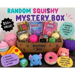 Random Squishy Myster y Box | NeeDoh Squeezee RMS Dumplings Sensory Toy Bundle